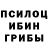 Галлюциногенные грибы мицелий Dwight Mason