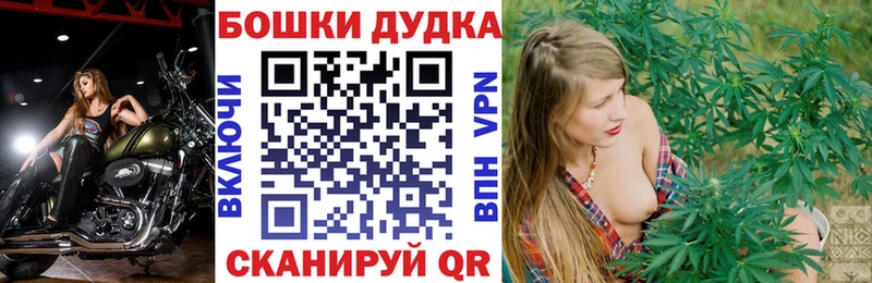Канабис AK-47  закладки  Кирсанов 